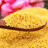 【米脂小米】 桃花峁米脂新款黄小米经济实惠2.5kg 商品缩略图1