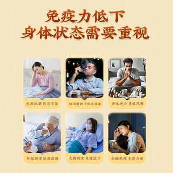 修正破壁灵芝孢子粉胶囊成人中老年人增强免疫力过年送礼年货60粒/盒 商品图2