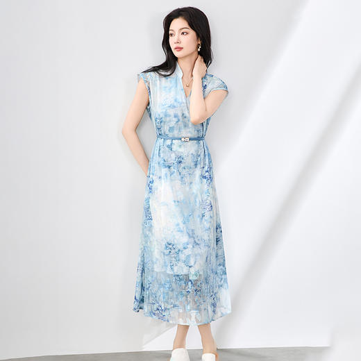 「高货wl」全新升级【铂金会员358/天猫479/差价121】(03351)洛诗琳法式晕染烧花连衣裙2025夏季简约优雅印花长裙女 商品图0