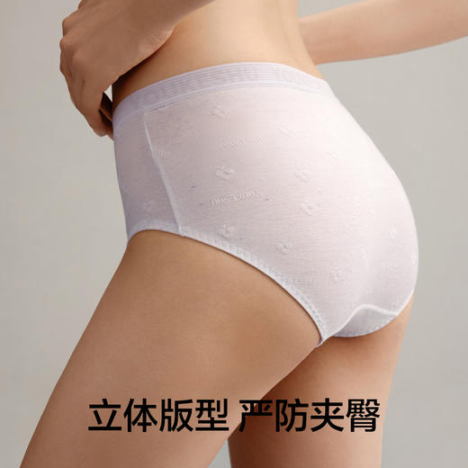 【新品上新】 有棵树10A抗菌纯棉全棉裆中腰女士三角裤3条装-U3261 商品图4