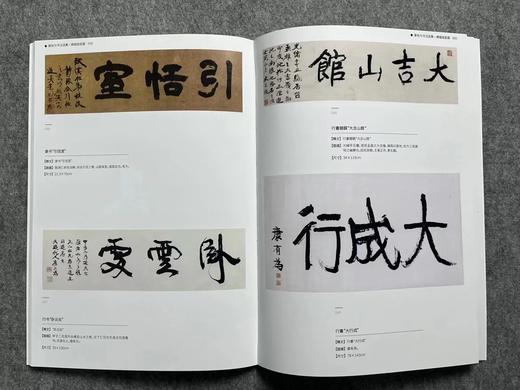 【康有为书法选集】散落人间系列丛书 商品图6