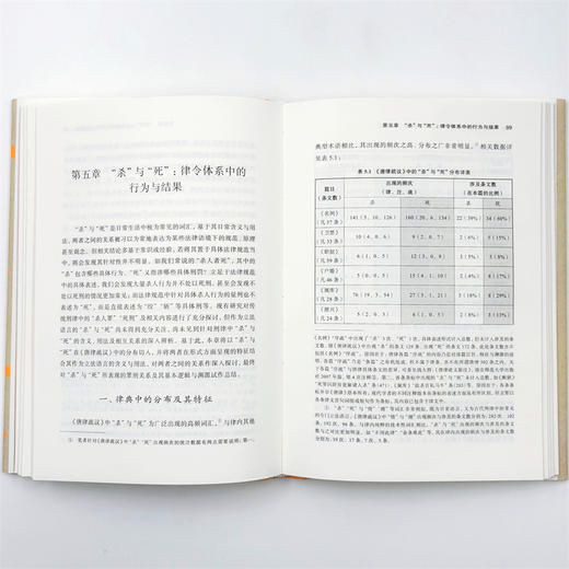 秦汉至唐律令立法语言论要 商品图12