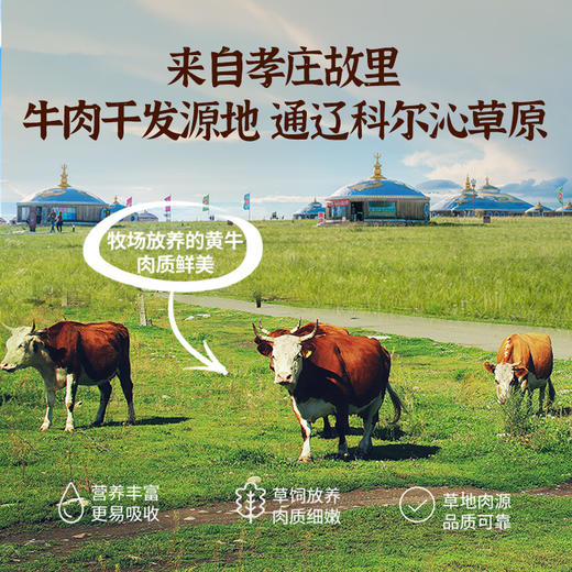 【青木专属】【 越嚼越香】乌克尔塔拉风干牛肉干 250g/袋 来自科尔沁草原上的牛肉干纹理清晰丝丝香醇开袋即食 商品图3