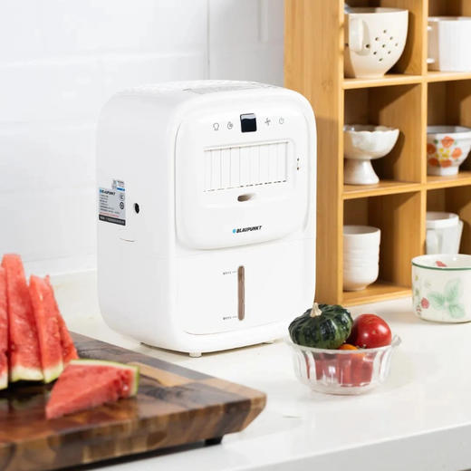 蓝宝厨房冰扇|厨房的降温神器，直降10°好舒爽！还能做加湿器，四季不闲置 商品图0