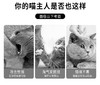 逗猫棒 猫爪绒球自嗨逗趣猫玩具逗猫杆 长约40cm 猫玩具批发 商品缩略图2