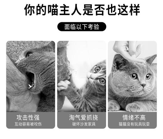 逗猫棒 猫爪绒球自嗨逗趣猫玩具逗猫杆 长约40cm 猫玩具批发 商品图2