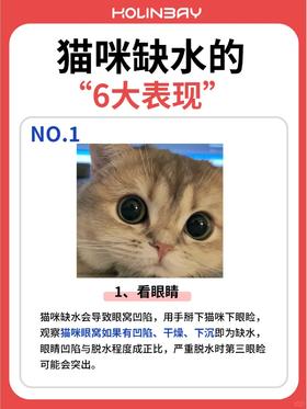 注意⚠️猫咪已经很渴啦，你却不知道❗️❗