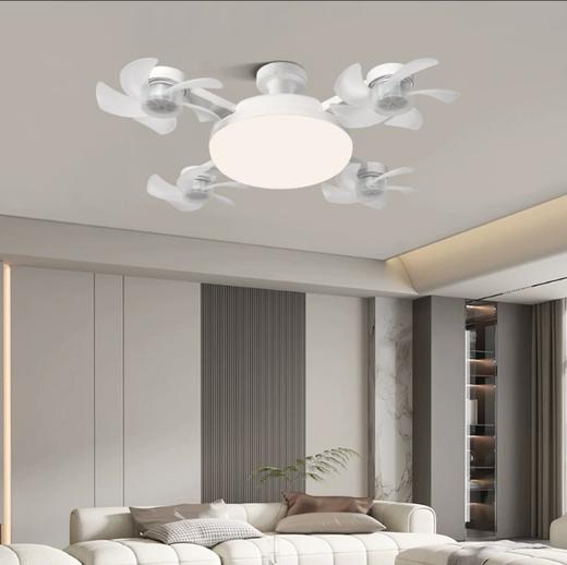 风扇灯 商品图0