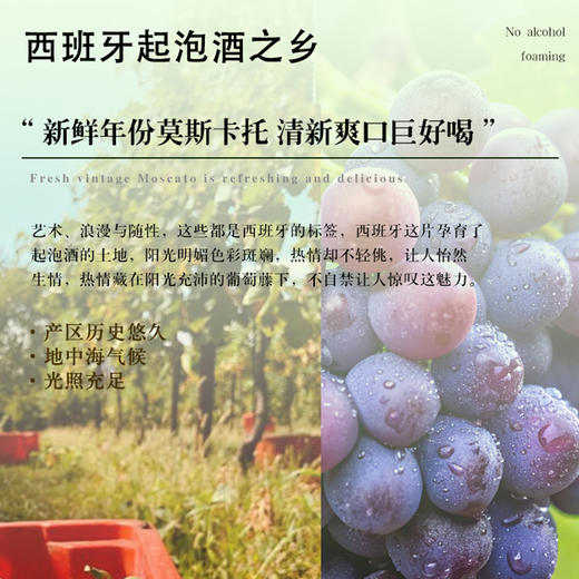 魅莱 · 莫斯卡托无醇起泡葡萄汁 商品图2