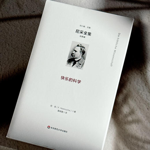 快乐的科学 尼采全集 注疏版 尼采中期代表作 《朝霞》续集 商品图6