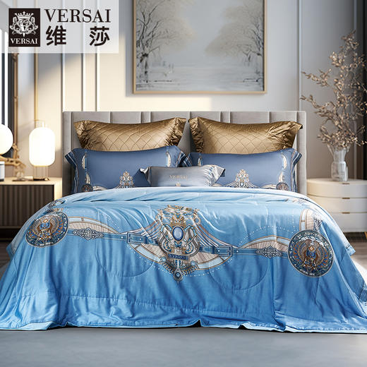 【6楼】富安娜云柔丝可水洗桑蚕丝夏被/海德拉，牌牌价5380元，【会员节专享价】活动价1599元 商品图0