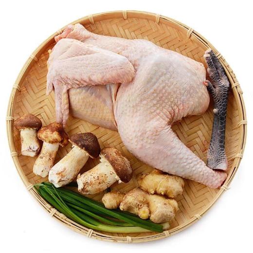 天乡桑林放养鸡/份 商品图0