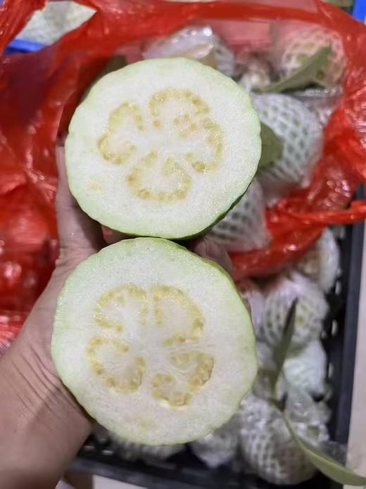 甜脆多汁番石榴农场直发现摘现发新鲜上市 商品图1