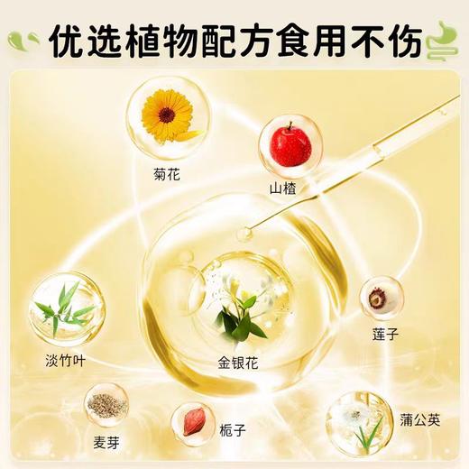 修正清益优植物固体饮料/XZ-880558 商品图3