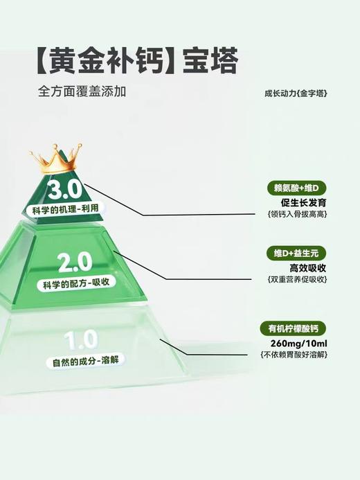 新西特水竹钙/XXT-350990 商品图3