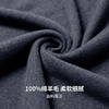 【100%绵羊毛】圣得西男士基础款型重磅针织衫2025秋季新款百搭毛衣 商品缩略图10