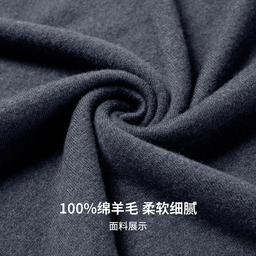 【100%绵羊毛】圣得西男士基础款型重磅针织衫2025秋季新款百搭毛衣 商品图10