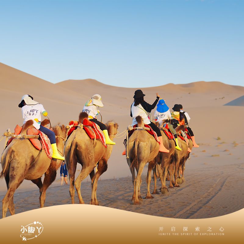 寒假亲子 | 河西走廊人文历史营 6天5晚