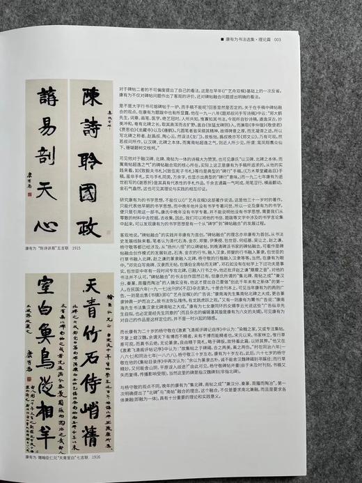 【康有为书法选集】散落人间系列丛书 商品图8