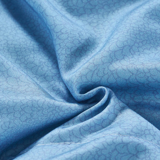 【6楼】富安娜云柔丝可水洗桑蚕丝夏被/海德拉，牌牌价5380元，【会员节专享价】活动价1599元 商品图5