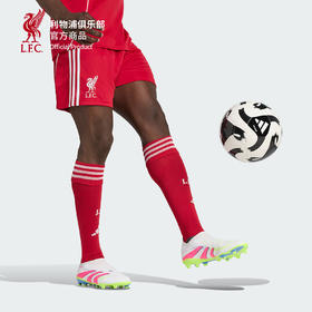 【官网同款】利物浦俱乐部 | 利物浦25/26主场球迷版短裤男女同款夏季
