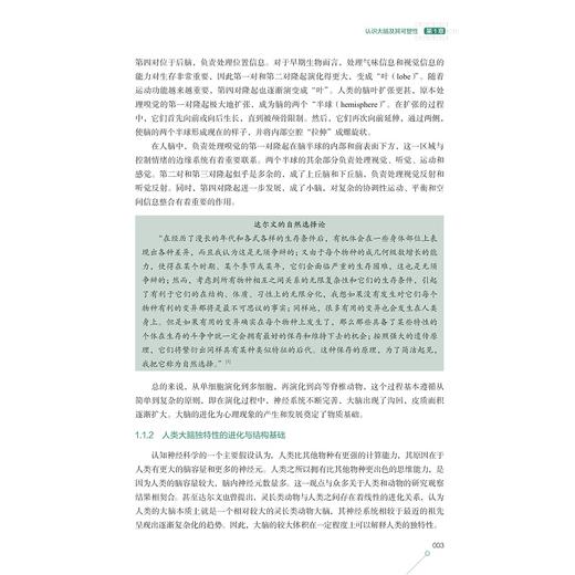 大脑可塑性与教育/课程学习与技术前沿系列教材/耿凤基主编/浙江大学出版社 商品图3