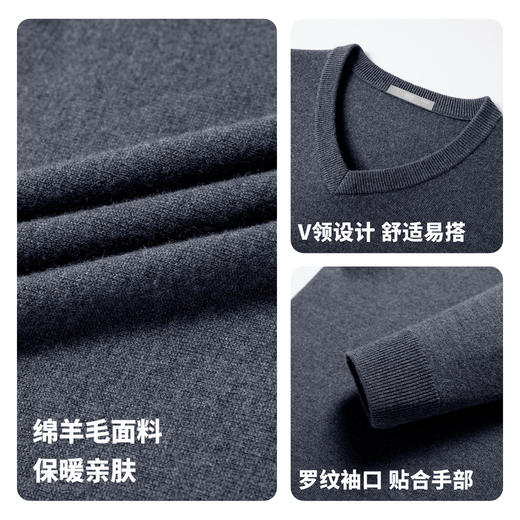 【100%绵羊毛】圣得西男士基础款型重磅针织衫2025秋季新款百搭毛衣 商品图4
