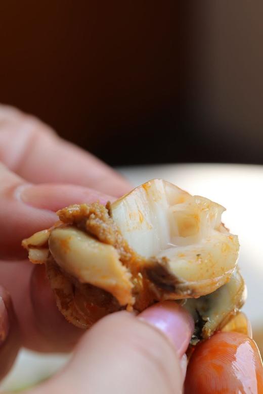 【长岛红贝肉】发货地：烟台，快递：顺丰。快递：西藏、青海省玉树藏族自治州、港澳台 不发货。云南、新疆，黑龙江、甘肃、青海（除玉树），海南+25元/件 商品图6