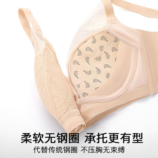 风荷初露 文胸(VIP)【小胸聚拢显大】性感蕾丝聚拢不空杯收副乳调整型无钢圈文胸 商品图6