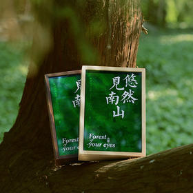 《陶渊明诗画集：悠然见南山》｜置身喧嚣中，心向桃花源， 当代人的精神治愈指南！