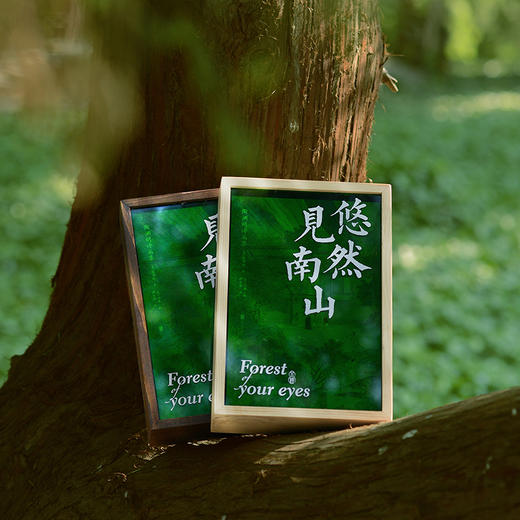 《陶渊明诗画集：悠然见南山》｜置身喧嚣中，心向桃花源， 当代人的精神治愈指南！ 商品图0