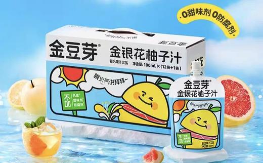 金豆芽金银花柚子汁100m1（盒装）/JDY-03670 商品图0