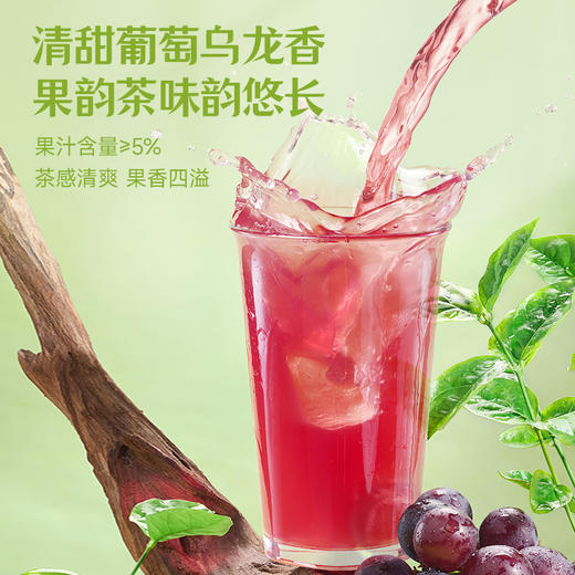 【会员积分兑换】果味茶柚C茉莉/葡萄乌龙/++/300ml*8瓶 商品图8