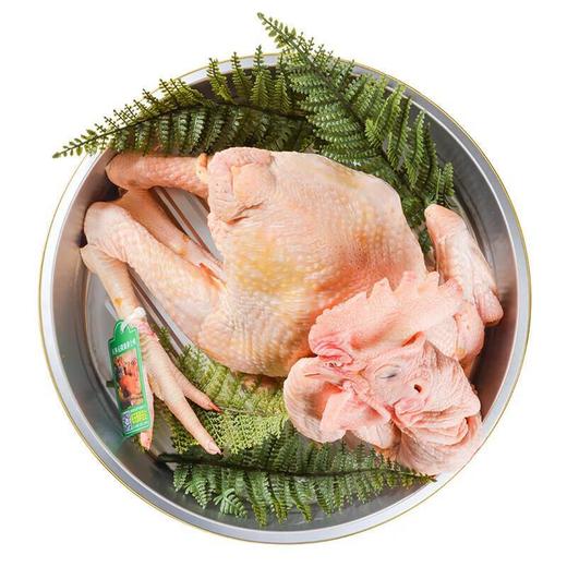 冷鲜 丘陵放养鸡/份 商品图1