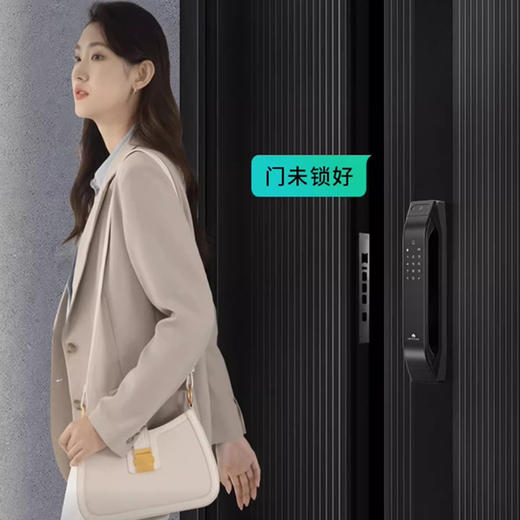 德施曼Q5mplus智能门锁 商品图4