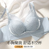 风荷初露 文胸(VIP)【小胸聚拢显大】性感蕾丝聚拢不空杯收副乳调整型无钢圈文胸 商品缩略图0