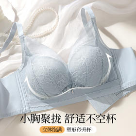 风荷初露 文胸(VIP)【小胸聚拢显大】性感蕾丝聚拢不空杯收副乳调整型无钢圈文胸