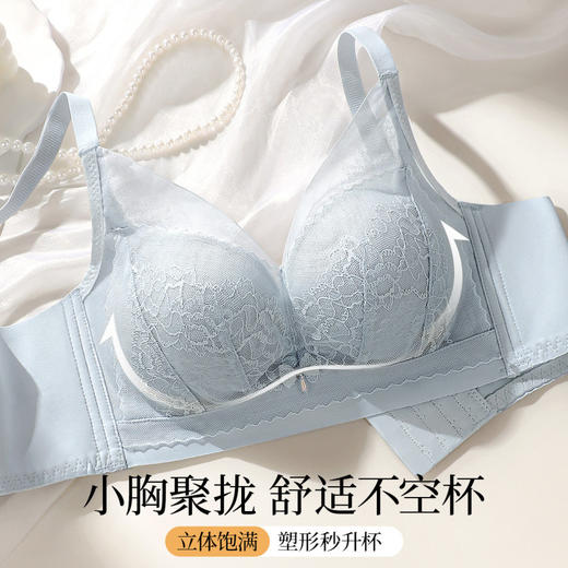风荷初露 文胸(VIP)【小胸聚拢显大】性感蕾丝聚拢不空杯收副乳调整型无钢圈文胸 商品图0