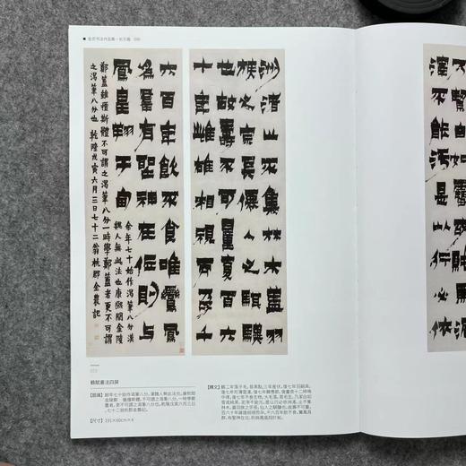 【金农书法作品集】散落人间系列丛书 商品图6