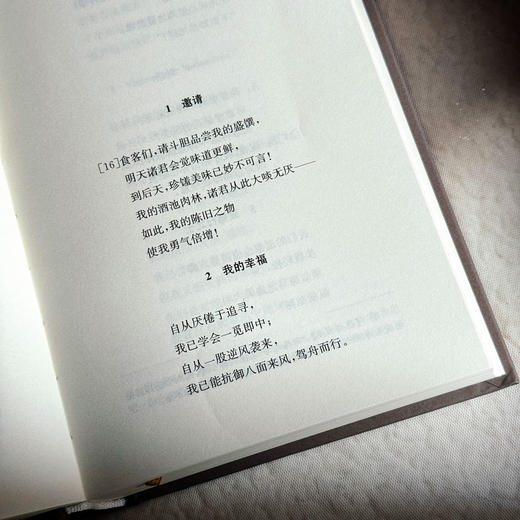 快乐的科学 尼采全集 注疏版 尼采中期代表作 《朝霞》续集 商品图9