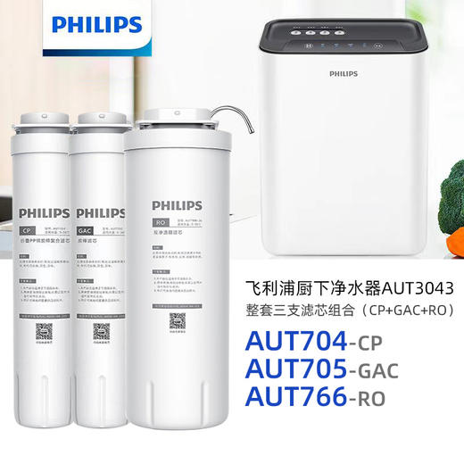 飞利浦（PHILIPS）AUT3043整套三支CP+RO+GAC滤芯组合 商品图0