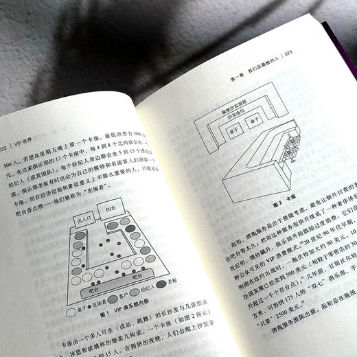 VIP世界 美貌经济的社会学透视 阿什利·米尔斯 性别研究 薄荷实验 商品图11