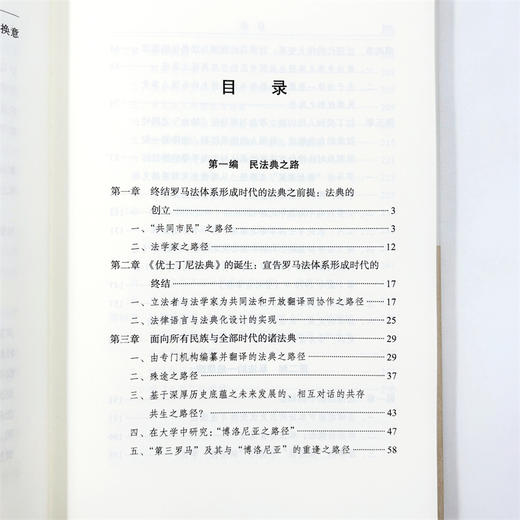 民法典导论(意大利民商法丛书) 商品图10