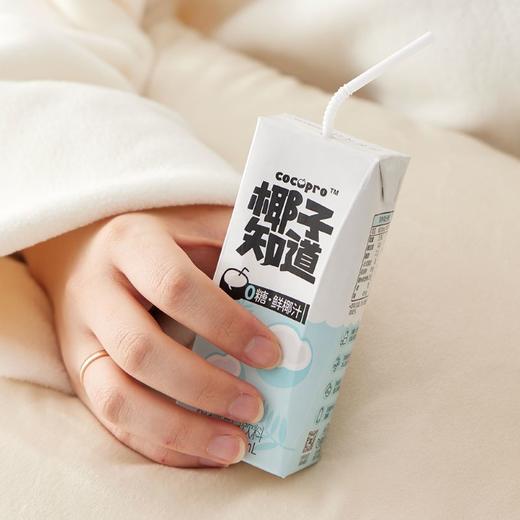 【0729直播专享】椰子知道0糖鲜椰汁 便携装植物蛋白饮料 商品图2
