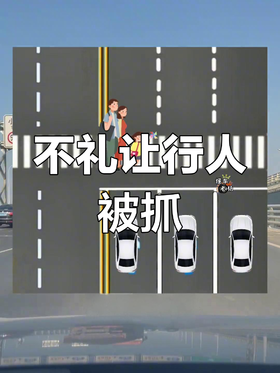  违法抓拍-你是如何被抓拍“不礼让行人”的