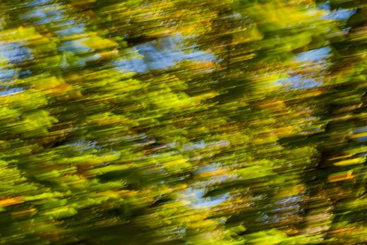 8.18/9.2【摇旋花木】摇曝旋曝外拍活动・花木篇 商品图4