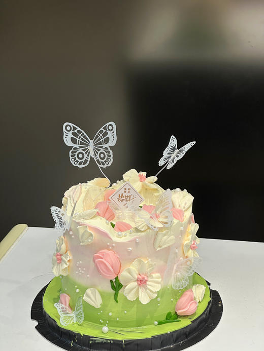 蝴蝶的梦境 商品图0