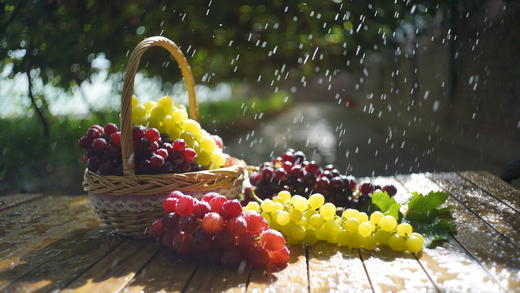 有机葡萄-天花板级别的口感 商品图4