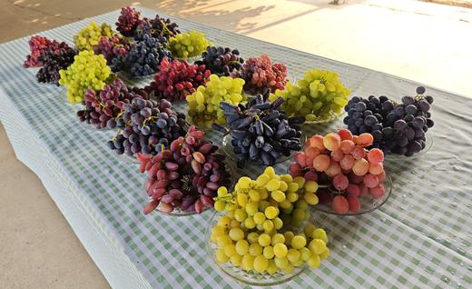 有机葡萄-天花板级别的口感 商品图1