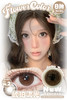 FlowerColor日抛【琥珀流光】14.2mm 商品缩略图1